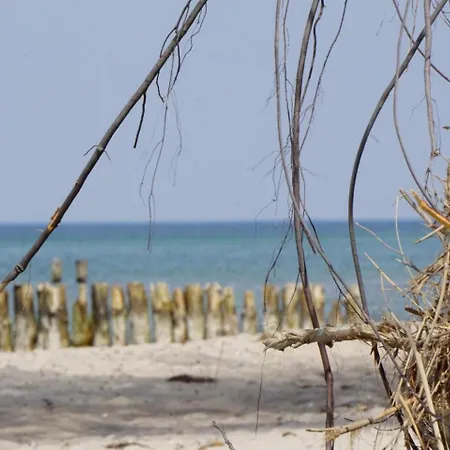 Zum Strandkorb 22 Appartamento
