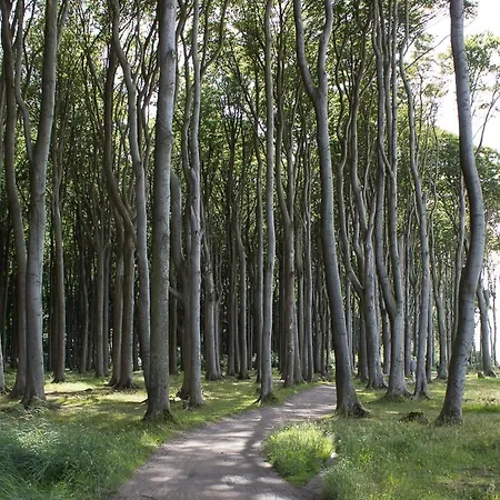 Zum Strandkorb 22 아파트