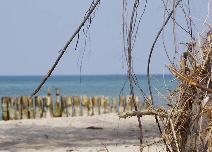 Zum Strandkorb 22 شقة